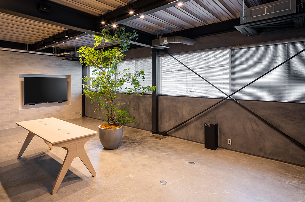 CO_BA GALLERY