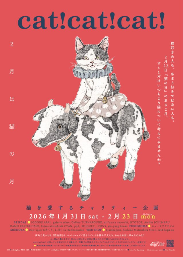 cat!cat!cat! 2026